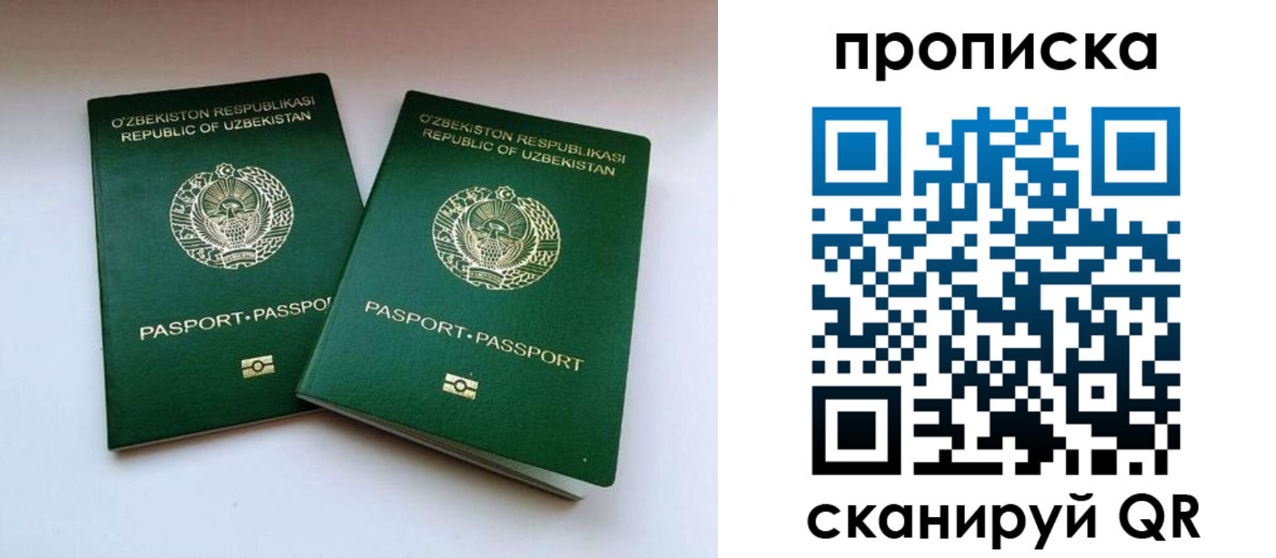 прописка поиск в Белгородской области